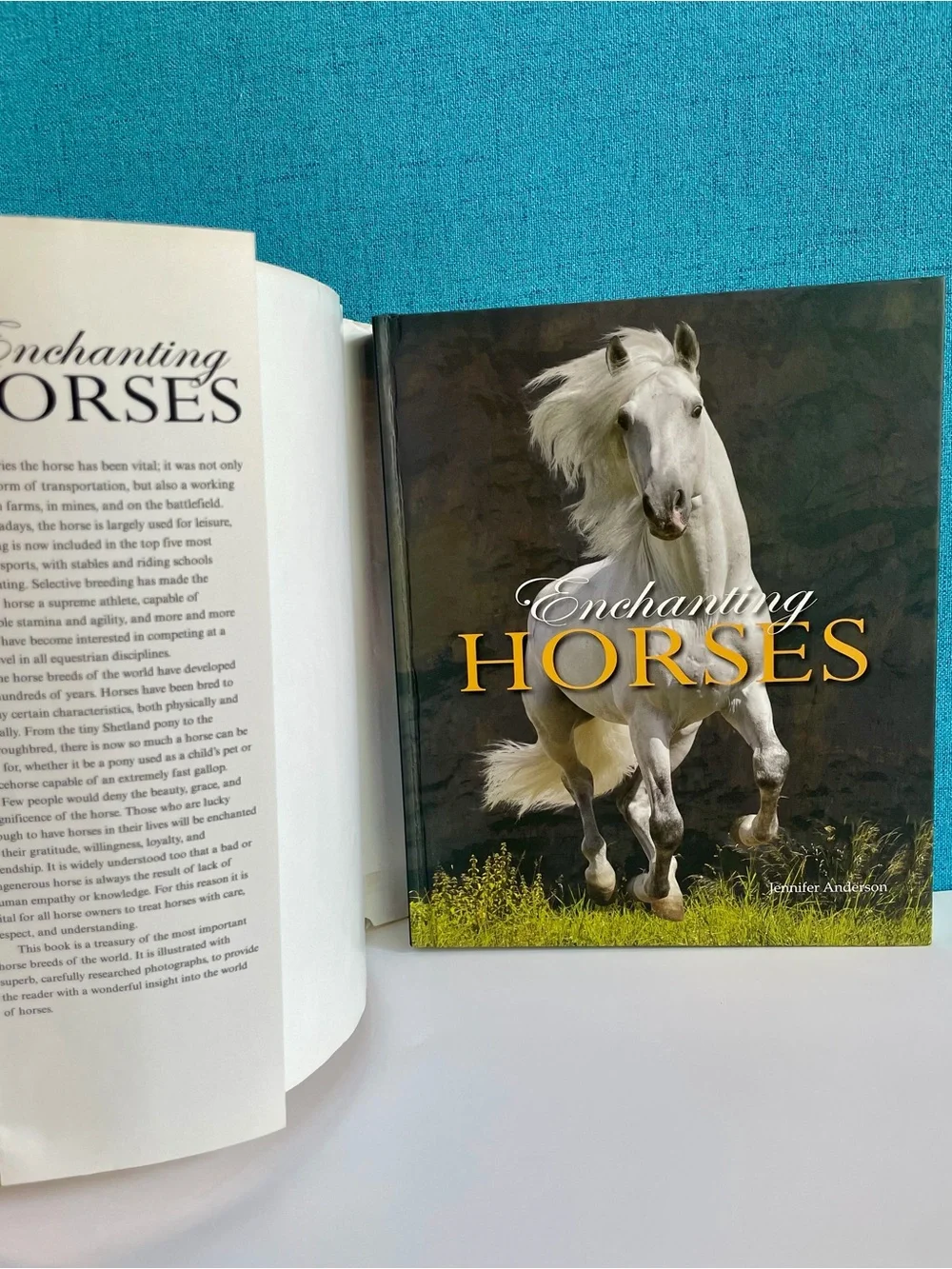 Enchanting Horses by Jennifer Anderson Hardcover book